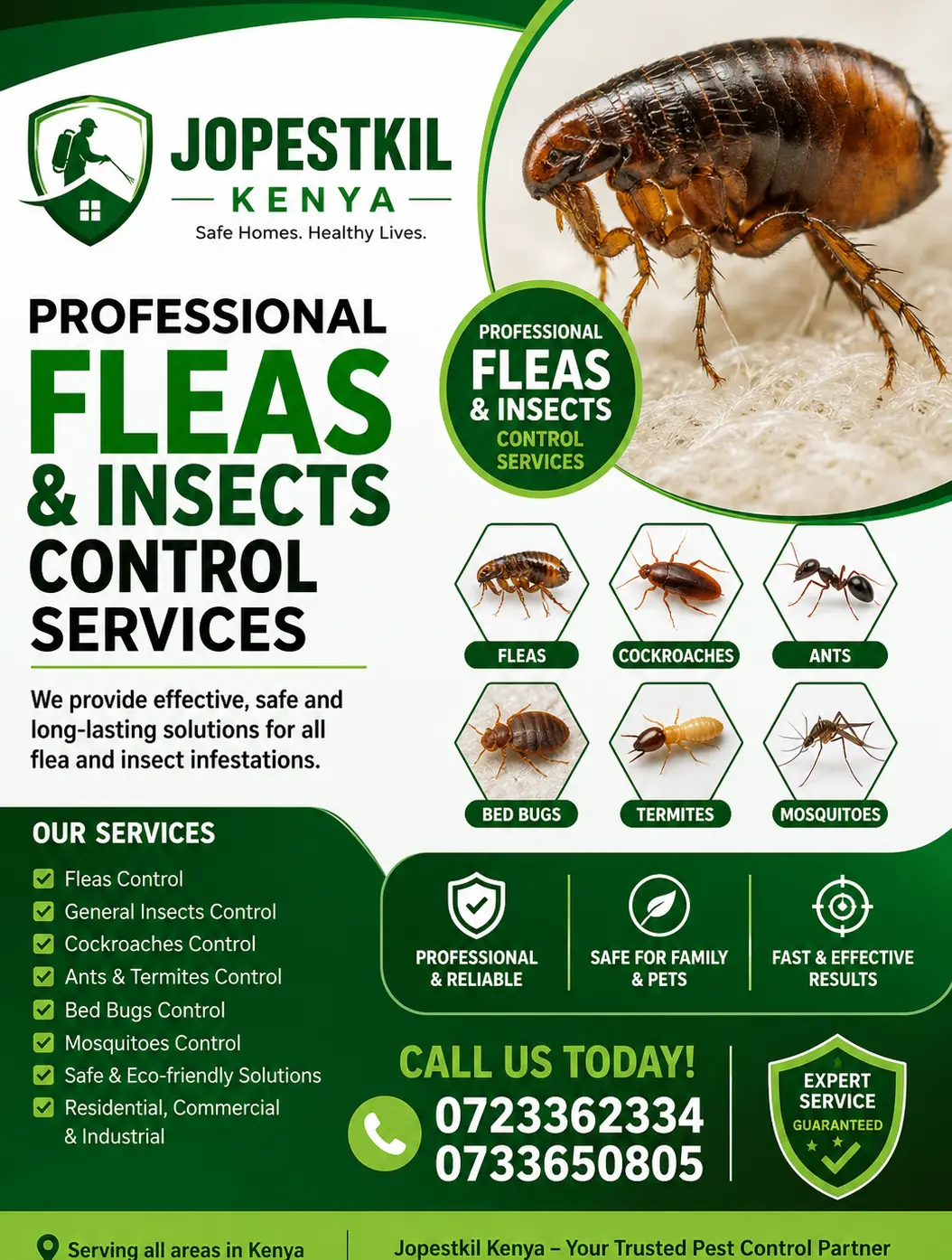 Flea control services